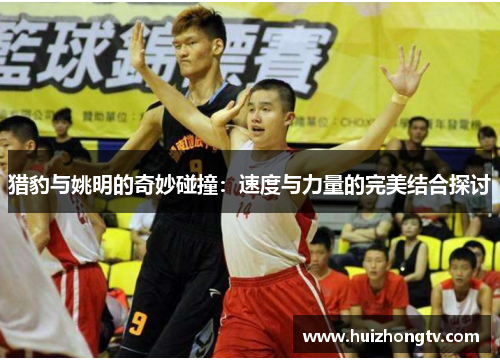 猎豹与姚明的奇妙碰撞：速度与力量的完美结合探讨